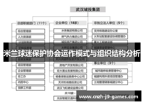 米兰球迷保护协会运作模式与组织结构分析 米兰球迷保护协会运作模式与组织结构分析