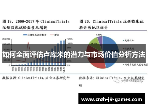 如何全面评估卢库米的潜力与市场价值分析方法 如何全面评估卢库米的潜力与市场价值分析方法