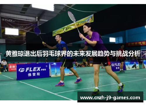 黄雅琼退出后羽毛球界的未来发展趋势与挑战分析 黄雅琼退出后羽毛球界的未来发展趋势与挑战分析